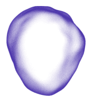 Prolaio logo