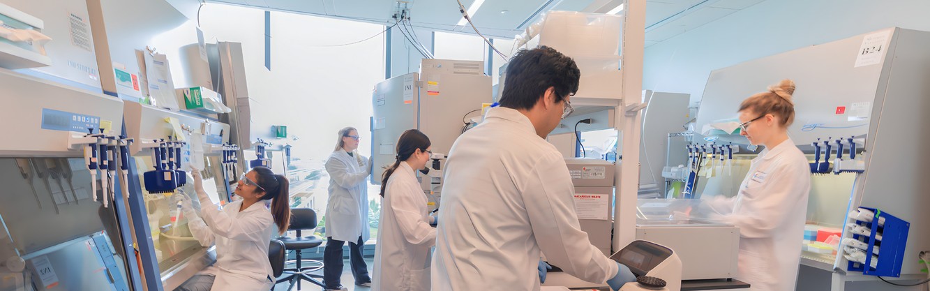 Compass researchers working together at benches in the company laboratory
