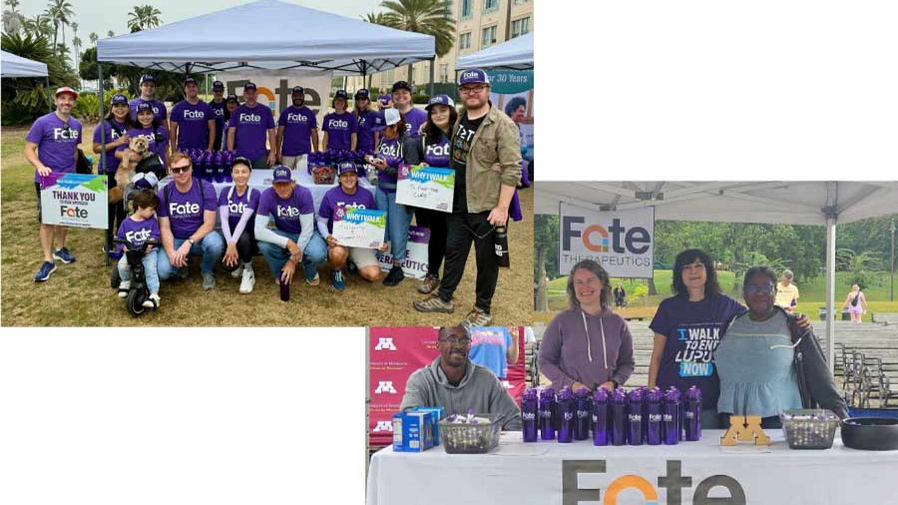 Fate Therapeutics employees volunteering together at community events
