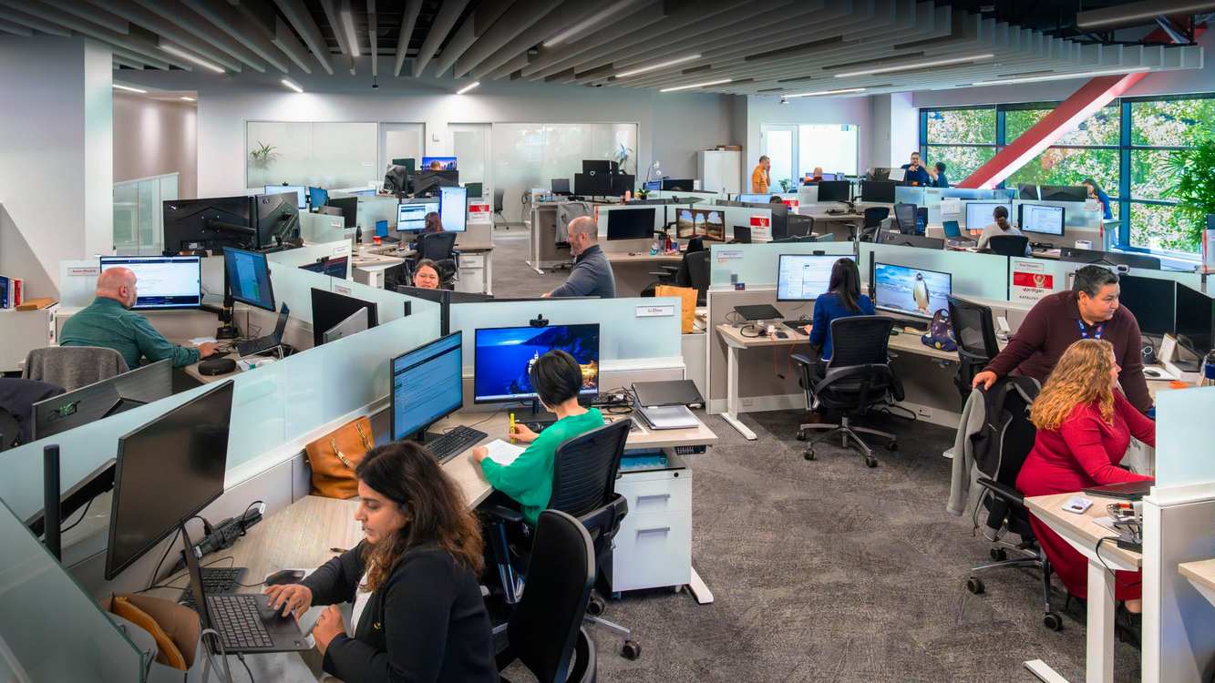 Kardigan colleagues collaborating in the company office